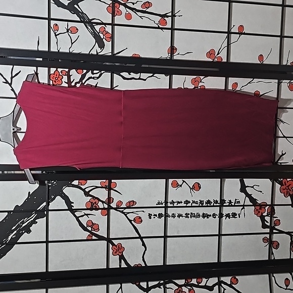 Bailey/44 Anthropologie Elegant Sleeveless Dress Wine Size Medium NWT - Picture 7 of 7